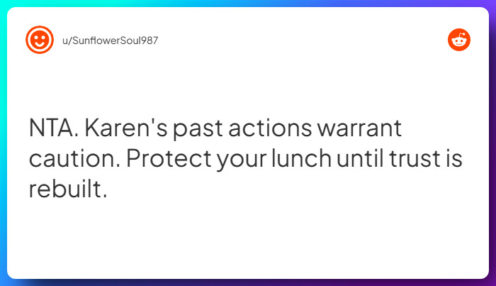 Comment from u/SunflowerSoul987