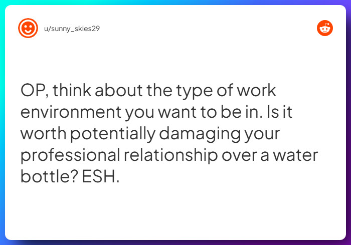 Comment from u/sunny_skies29