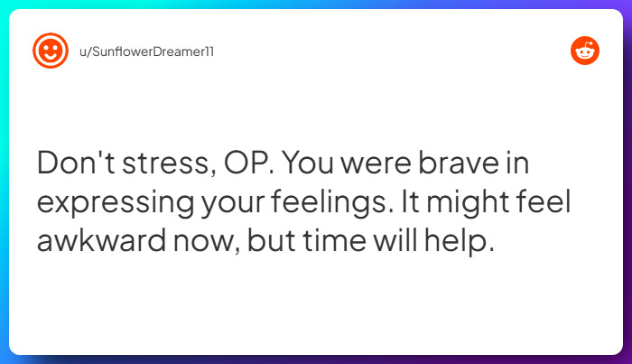 Comment from u/SunflowerDreamer11