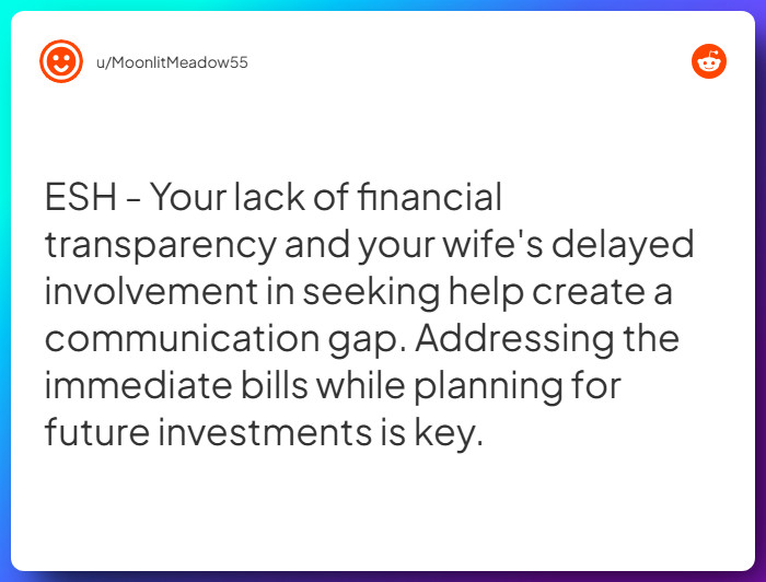 Comment from u/MoonlitMeadow55