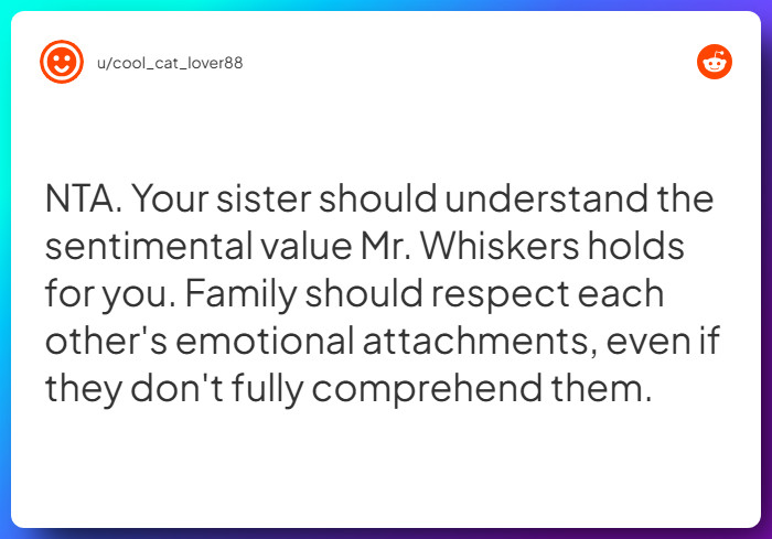 Comment from u/cool_cat_lover88