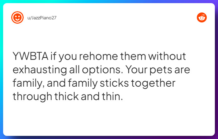 Comment from u/JazzPiano27