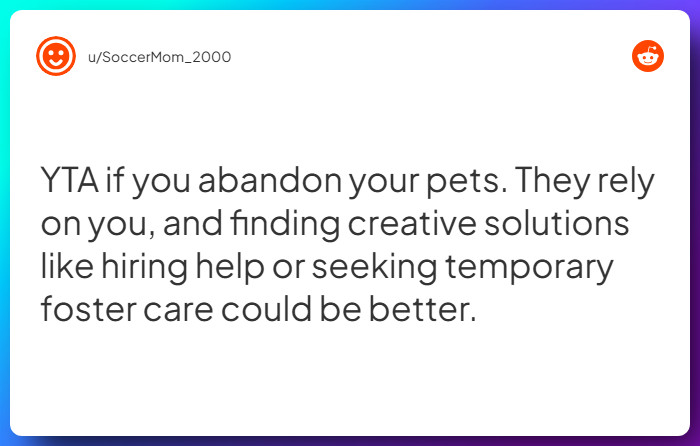Comment from u/SoccerMom_2000