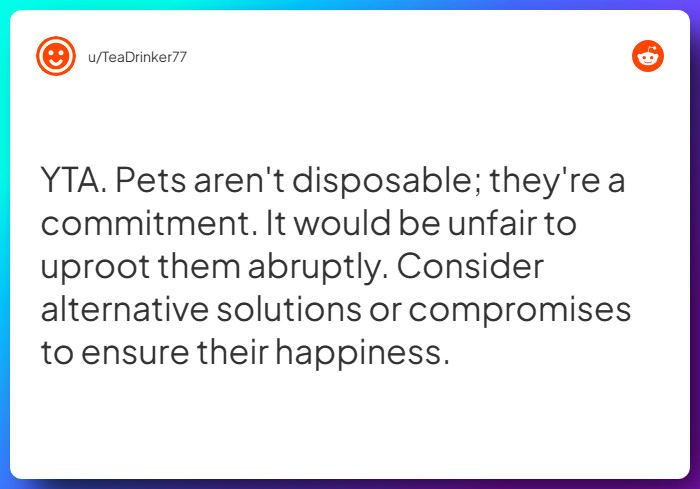 Comment from u/TeaDrinker77