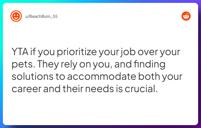 Comment from u/BeachBum_55