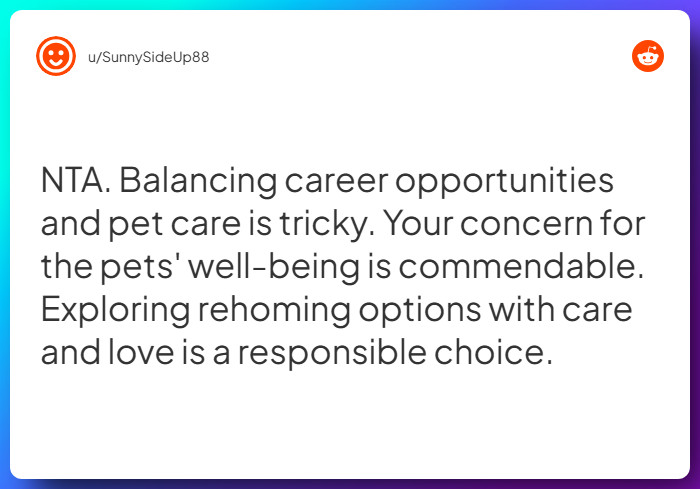 Comment from u/SunnySideUp88