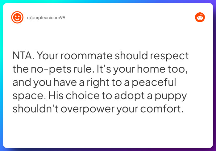 Comment from u/purpleunicorn99
