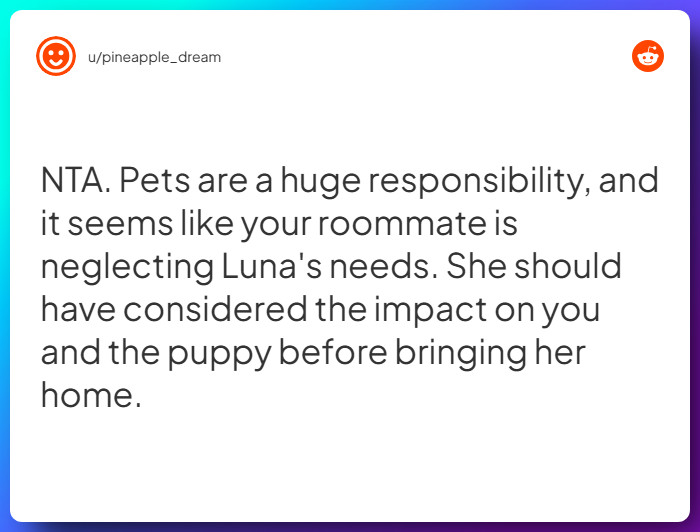 Comment from u/pineapple_dream
