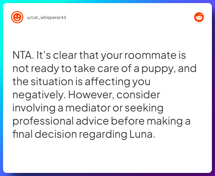 Comment from u/cat_whisperer44