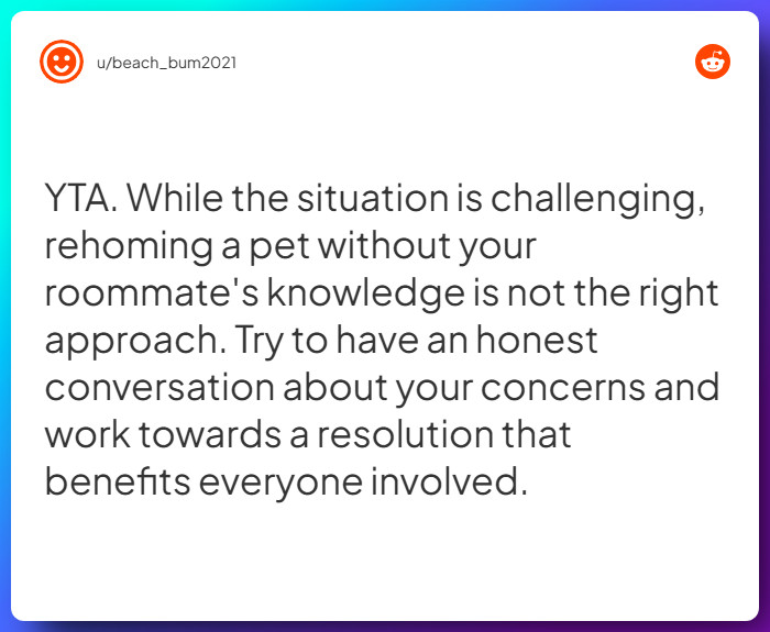 Comment from u/beach_bum2021