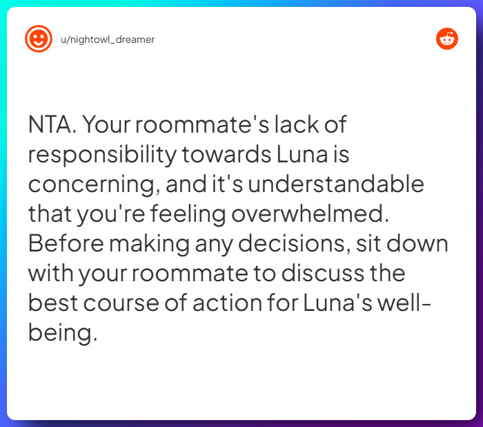 Comment from u/nightowl_dreamer