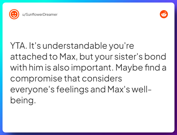 Comment from u/SunflowerDreamer