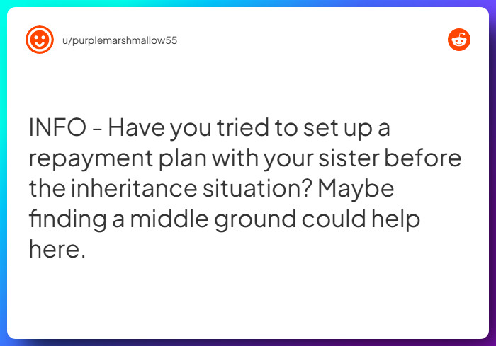 Comment from u/purplemarshmallow55