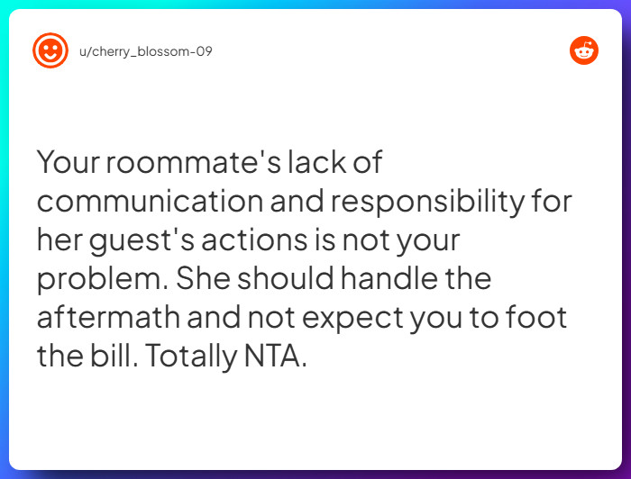 Comment from u/cherry_blossom-09