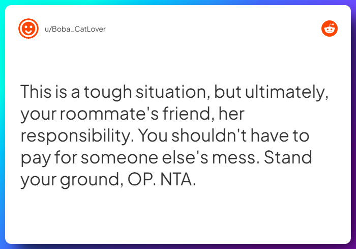 Comment from u/Boba_CatLover