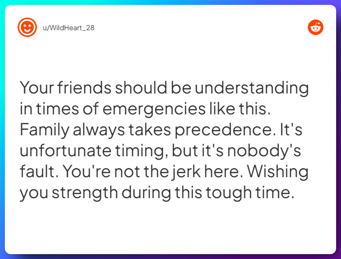 Comment from u/WildHeart_28