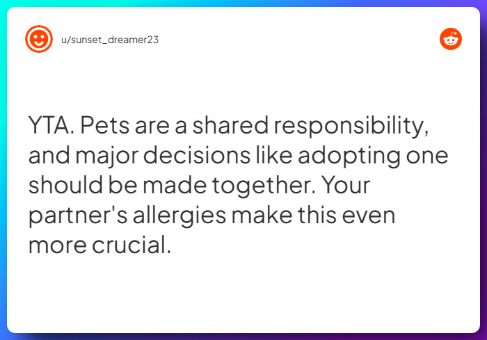 Comment from u/sunset_dreamer23