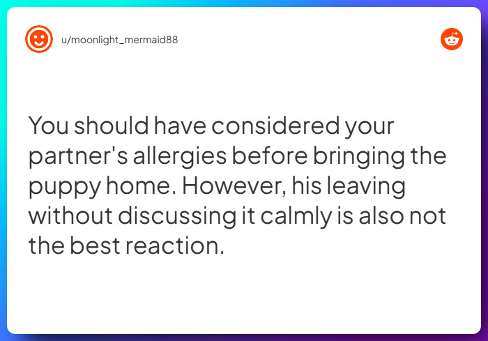 Comment from u/moonlight_mermaid88