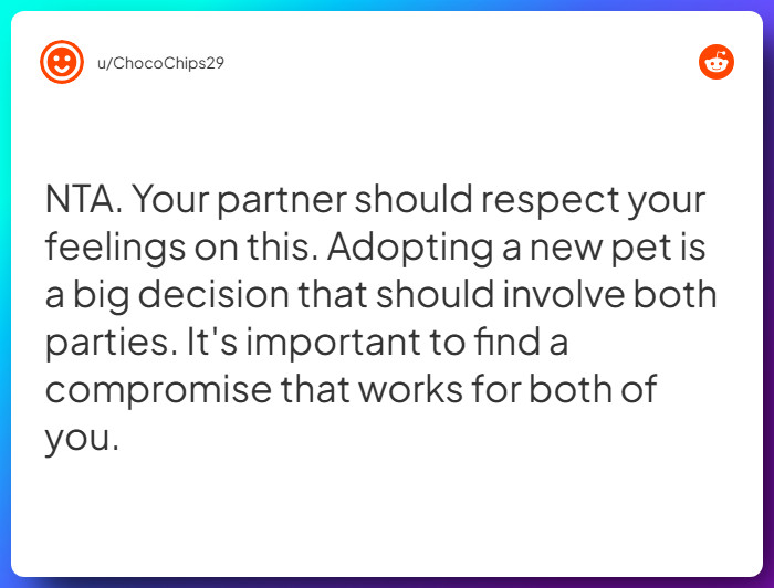 Comment from u/ChocoChips29
