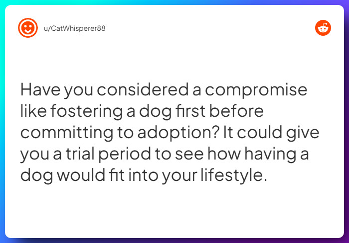 Comment from u/CatWhisperer88