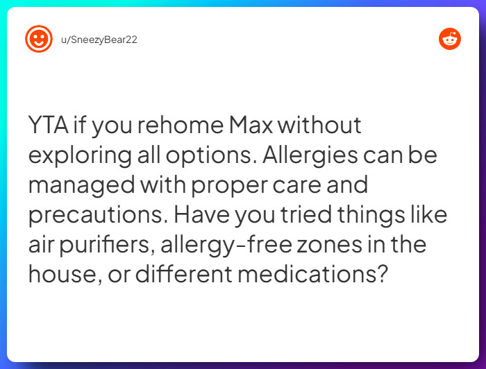 Comment from u/SneezyBear22