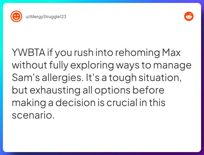 Comment from u/AllergyStruggle123