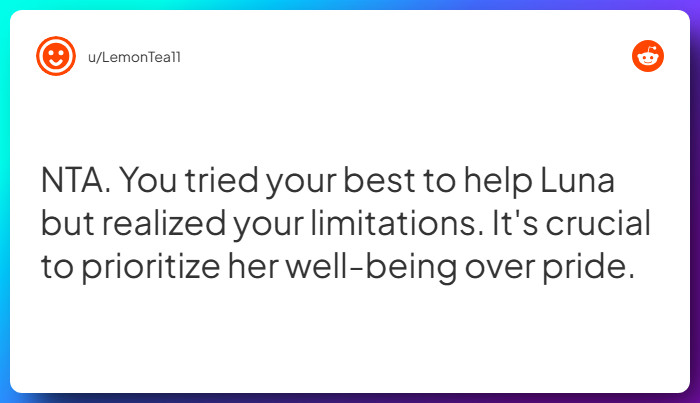 Comment from u/LemonTea11