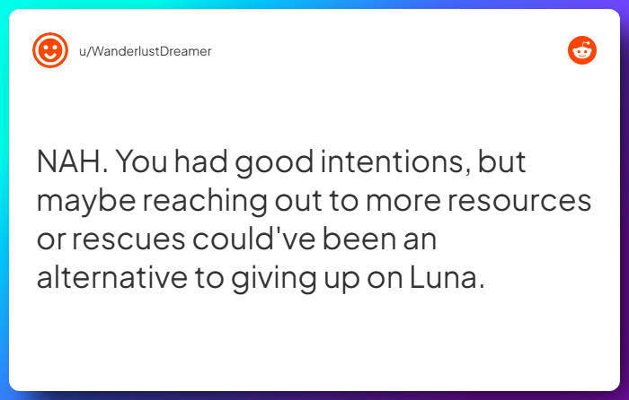 Comment from u/WanderlustDreamer