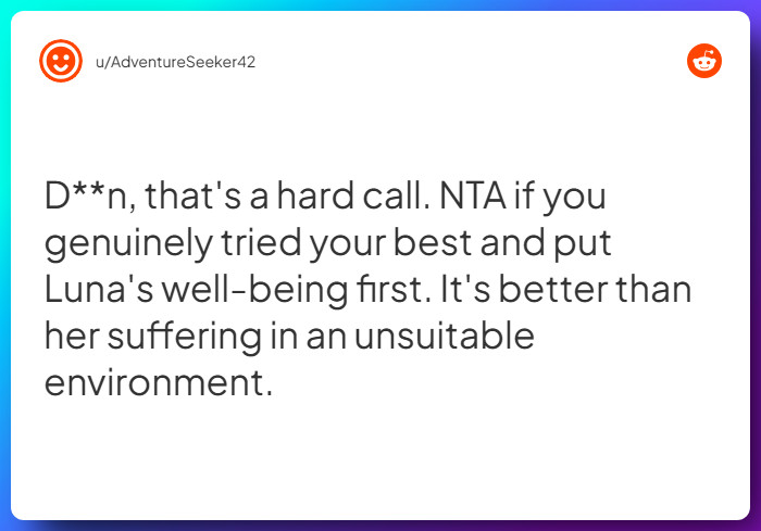 Comment from u/AdventureSeeker42