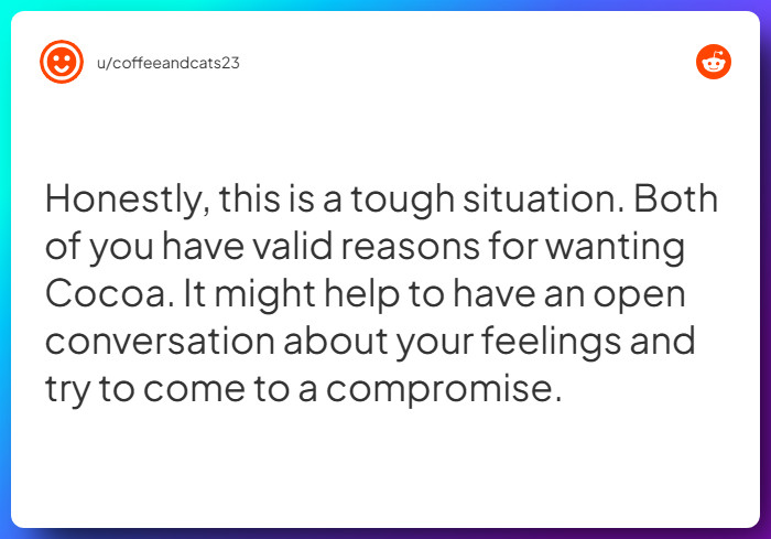 Comment from u/coffeeandcats23