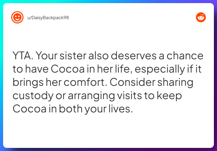 Comment from u/DaisyBackpack98