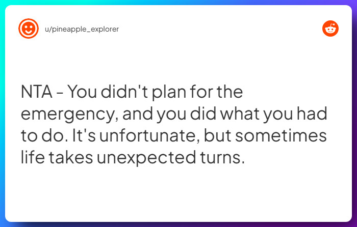 Comment from u/pineapple_explorer