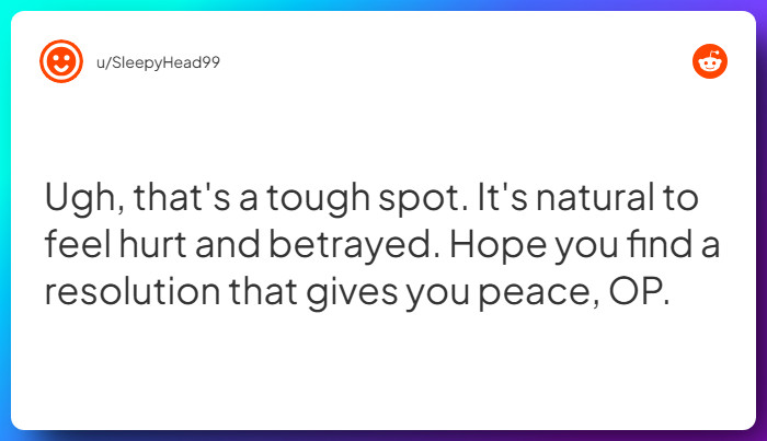 Comment from u/SleepyHead99