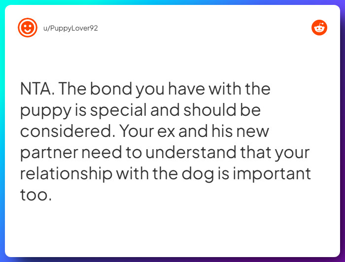 Comment from u/PuppyLover92