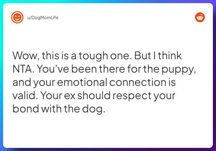 Comment from u/DogMomLife