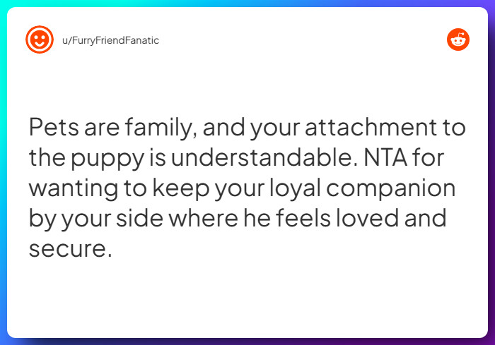 Comment from u/FurryFriendFanatic