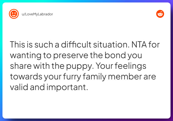 Comment from u/LoveMyLabrador