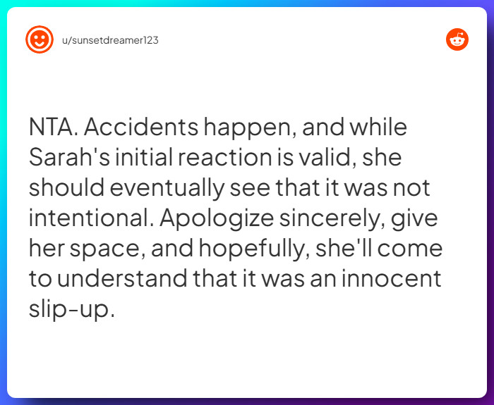 Comment from u/sunsetdreamer123