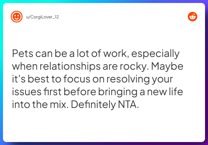 Comment from u/CorgiLover_12