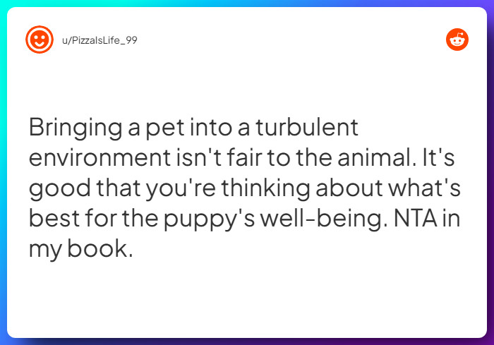 Comment from u/PizzaIsLife_99