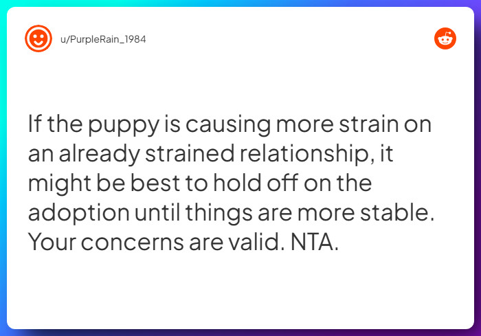 Comment from u/PurpleRain_1984