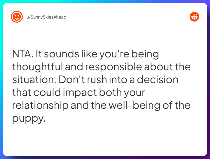 Comment from u/SunnySkiesAhead