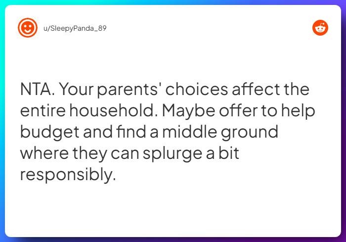 Comment from u/SleepyPanda_89