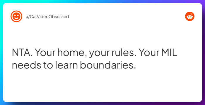 Comment from u/CatVideoObsessed