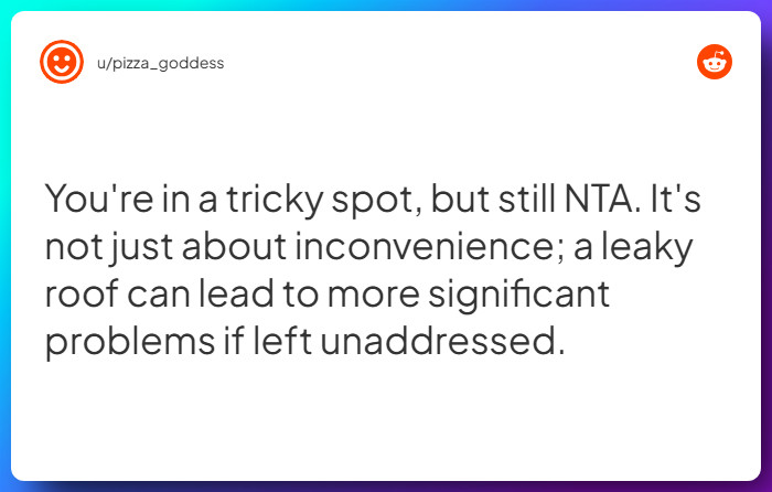 Comment from u/pizza_goddess