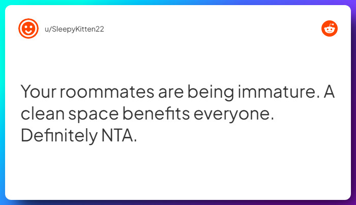 Comment from u/SleepyKitten22