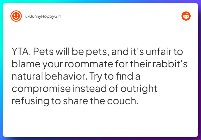 Comment from u/BunnyHoppyGirl