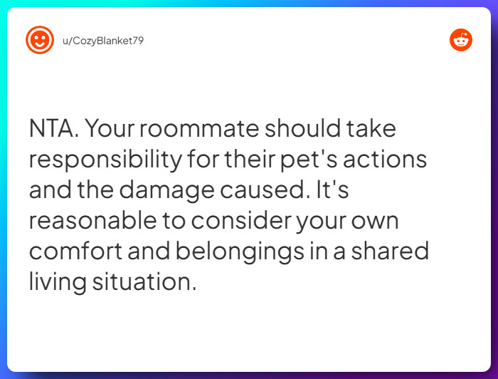 Comment from u/CozyBlanket79