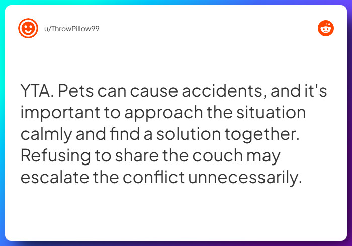 Comment from u/ThrowPillow99