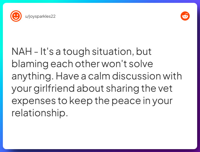 Comment from u/joysparkles22